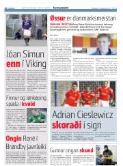 Síða 12