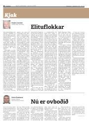 Síða 26