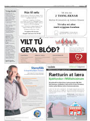 Síða 29