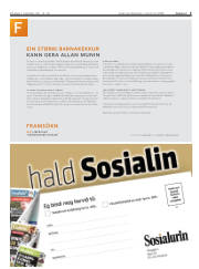 Síða 3