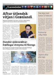 Síða 17
