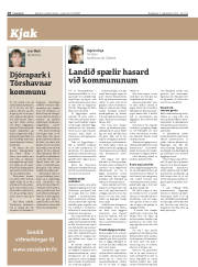Síða 18