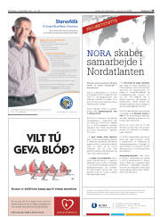 Síða 25