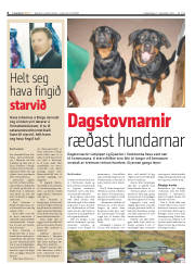 Síða 6