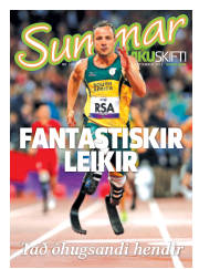 Síða 29