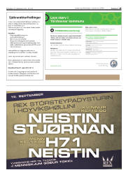 Síða 29