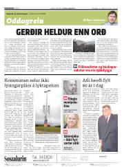 Síða 2