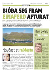 Síða 7