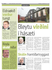 Síða 8