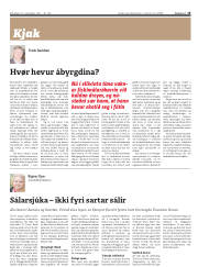 Síða 15