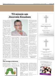 Síða 17