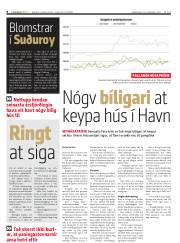 Síða 8