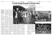 Síða 14