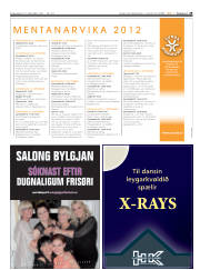 Síða 29