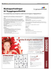 Síða 30