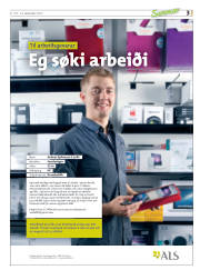 Síða 35
