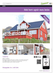 Síða 43