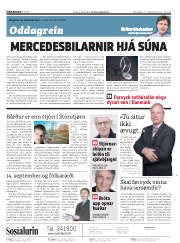 Síða 2