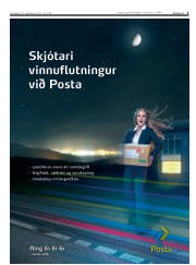 Síða 5