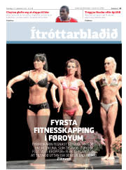 Síða 11