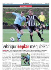 Síða 17