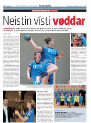 Síða 20