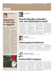 Síða 23