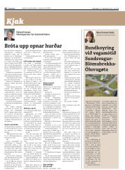 Síða 26