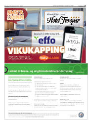 Síða 29