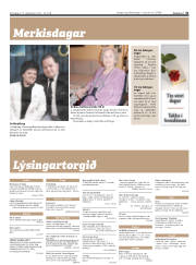 Síða 31