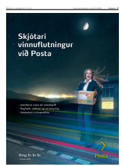 Síða 3