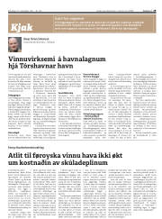 Síða 29