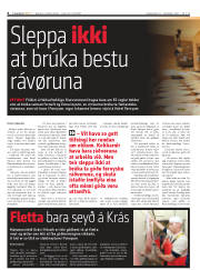 Síða 6