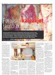 Síða 8