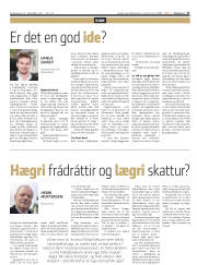 Síða 17
