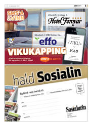 Síða 35