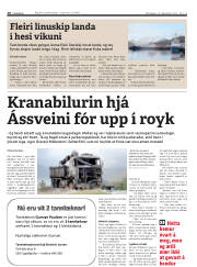 Síða 10
