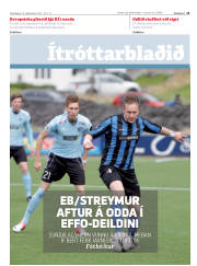 Síða 11