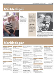 Síða 31