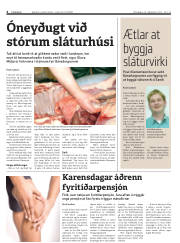 Síða 4