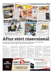 Síða 13