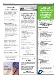 Síða 27
