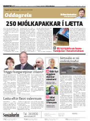 Síða 2