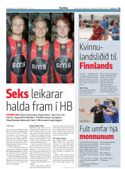 Síða 33