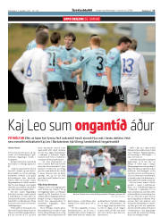 Síða 17