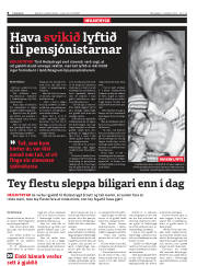 Síða 8