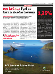 Síða 11