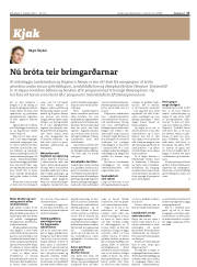 Síða 17