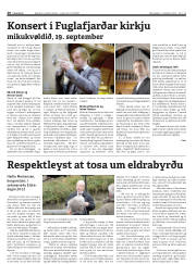 Síða 20
