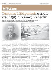 Síða 22